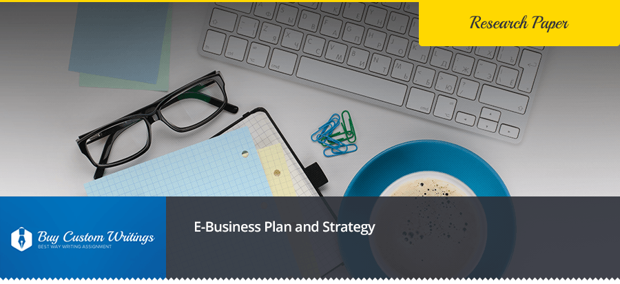 E-Business Plan and Strategy Free Essay